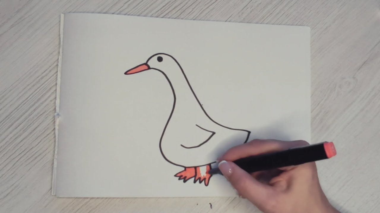 How to draw a funny goose. Easy way to draw a duck. 🦢🦆🌿 - YouTube