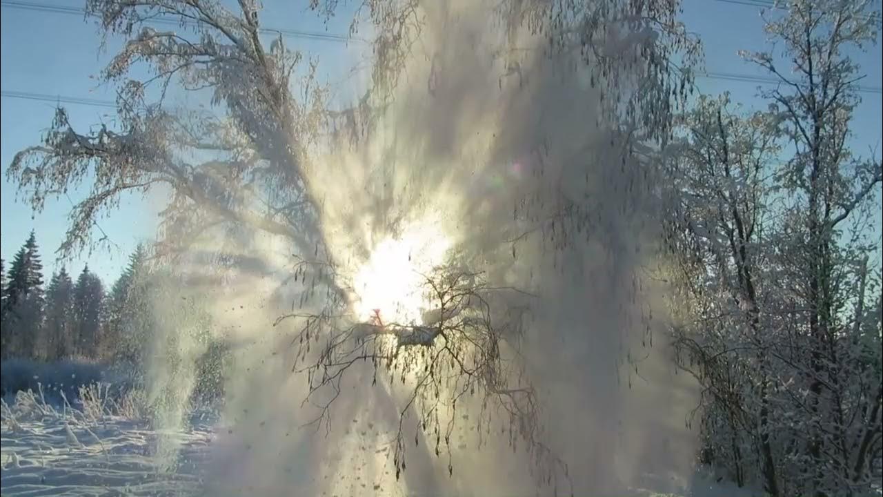 Greens of June YouTube