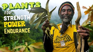 Plants for Strength, Power & Endurance MASTERCLASS with Buru!