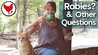 Rabies? And Other Questions