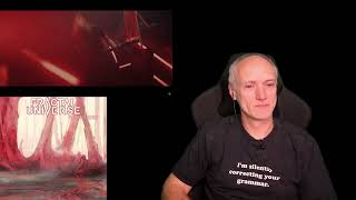 Fractal Universe - The Seed of Singularity Opinion βΊ Pictures, Noise and Words