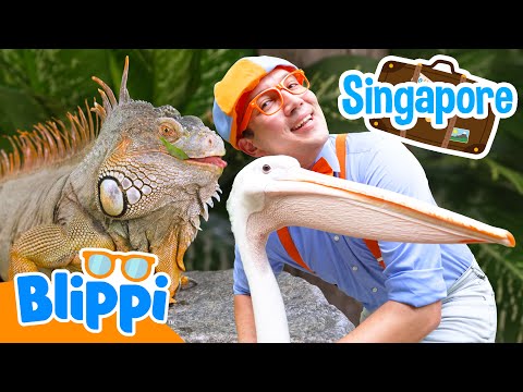 Blippi Learns How To Be a Zookeeper | Blippi Travels 🌏| Educational Videos for Kids
