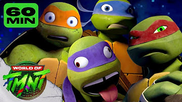 1 Hour of the Turtles