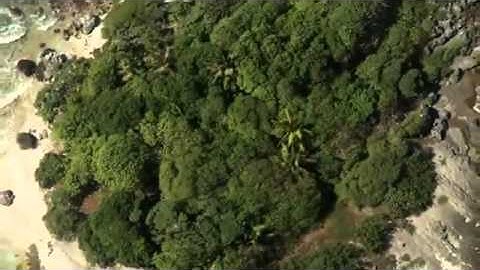 تلاوة خاشعة : تأمل في خلق الله تعالى: سبحانك: