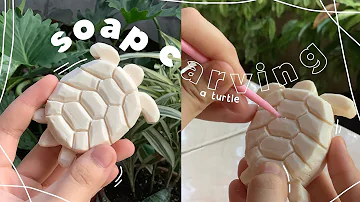 soap carving | a turtle