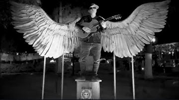 Stingshark - "Land of Sunshine" (Official Music Video)