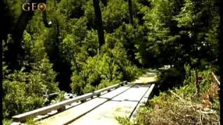 Pirihueico Chile - Geo viajes & aventura 42