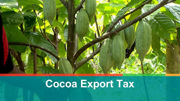 Cocoa Export Tax