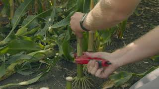 InsidePTI S1•E67 | Late Season Nitrate Testing
