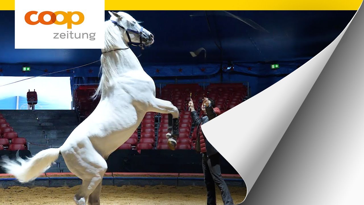 Ein Tag im Zirkus Knie  | Hinter den Kulissen mit Ivan Knie