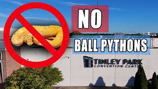 Information NO Ball Pythons Allowed! (NARBC Tinley Park October 2026) Guide