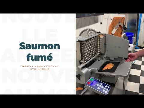 Grand fumoir avec chariot de fumage FM6-100 pour fumer à froid