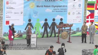WRO 2013 video