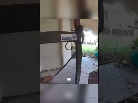 Best fail of week - Khoảnh khắc gây cười