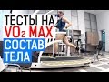 Тест на VO2 max и определение состава тела