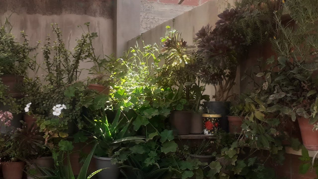 عيدكم مبارك✨🥀