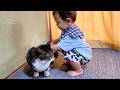 赤ちゃんが凶暴な実家猫に触った結果...