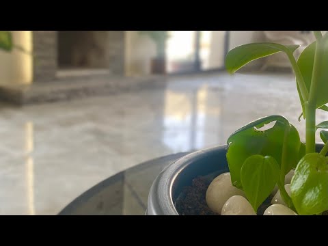 شرين عبد الوهاب طول الليالي جميلة جدا