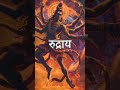 🎇🎆🌺🌹🕉️🕉️🕉️🕉️🕉️🕉️🕉️🕉️🌹🌺🎆🎇