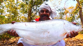 Doi Echor & Bengali special Sorshe Chital | Doi Kathal recipe | Green Jackfruit & Chital fish recipe