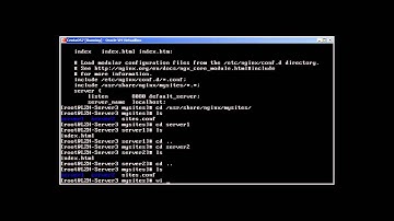Nginx Webserver Part IV Virtual Hosting