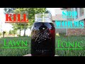 Kill Sod Webworms with Homemade Lawn Tonic!