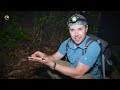 Bite of Rare Snake has Mysterious Venom!