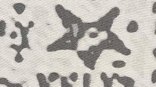 Zoom In | Episode 3: 'Etymon' by Cynthia Schira