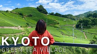KYOTO Uji green tea village 'WAZUKA'✨ Japan Travel Vlog
