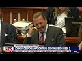 Johnny Depp, judge crack up during 'bizarre' witness testimony | LiveNOW from FOX