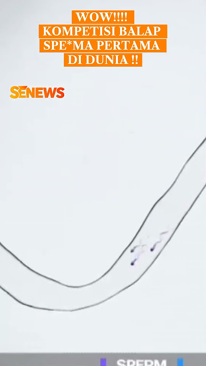 LOMBA SPERMA PERTAMA KALINYA #sperm #sperma #senews #news #indonesia #usa