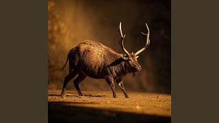 Gak Punya Ayang Tapi Yang Naksir Banyak