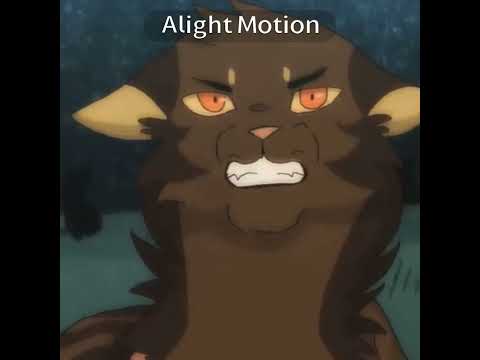 пожалуйста залетиии😭#рек #котывоители #остролистая #бич #книга пожалуйста залетиии😭#рек #котывоители #остролистая #бич #книга