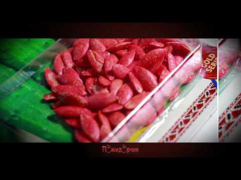 Семена Огурец Феникс F1 инкрустированные - Помидорчик