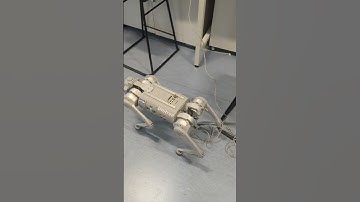 Unitree Go1 Edu stability test