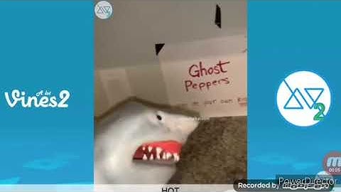 Shark puppet has a sparta no bgm remix