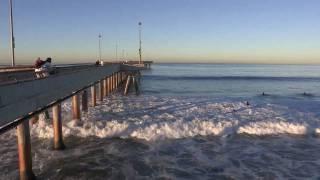 Surfing Near Venice Pier