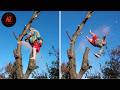 Idiots With Chainsaws: Tree Cutting Fails | Extreme Dangerous Logging Truck Fails #83