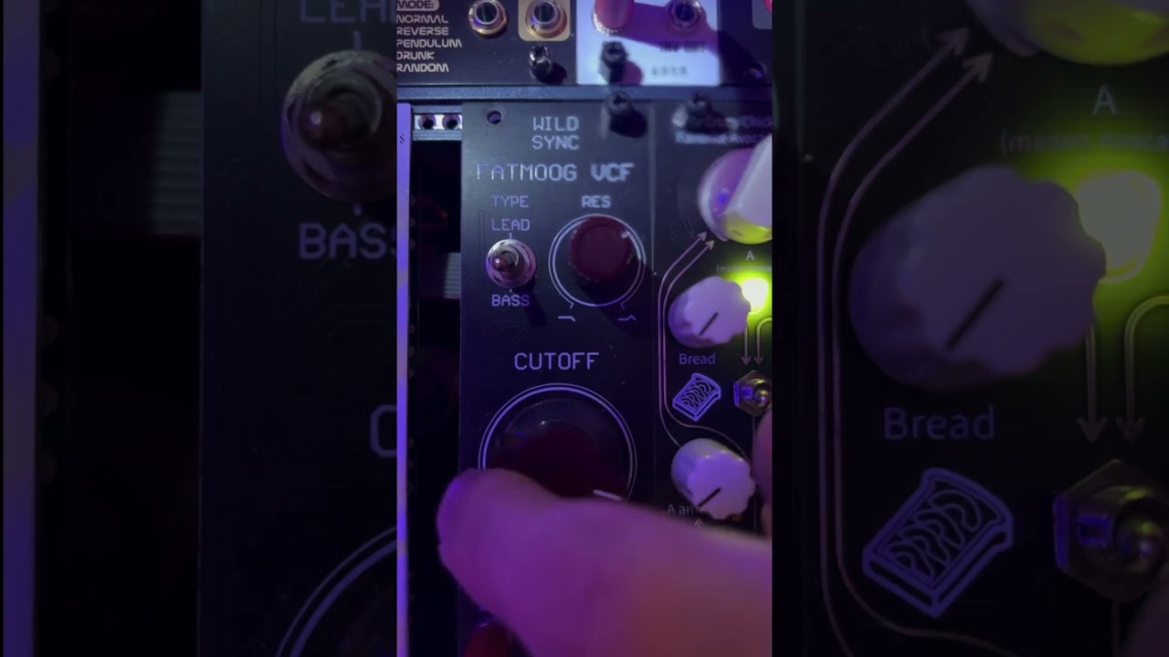 Demo and a jam with Wildsync Fatmoog Filter module - YouTube