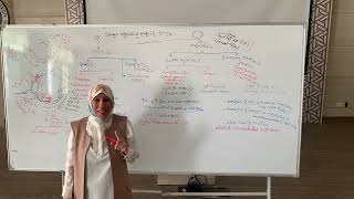 Ocular pharmacology