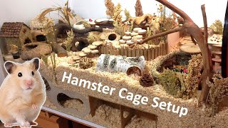 New Cage and New Setup for my Hamster