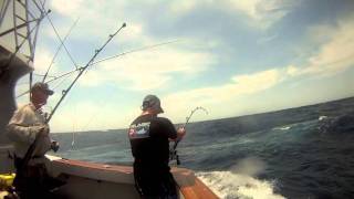 iona gamefishing day2