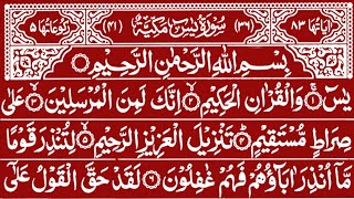 Surah Yaseen Best Tilawat || Surah Yasin Surah Rahman || Yaseen Surah full || Qur'an Recitation