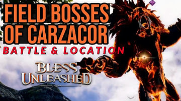 BLESS UNLEASHED | Field Bosses of Carzacor | Battle & Location  [Starter Area]