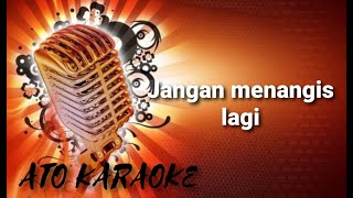 SULTAN - Jangan menangis lagi ( karaoke )