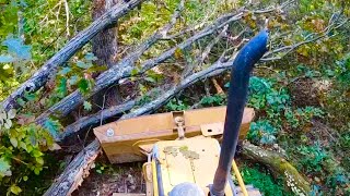 Clearing Old Logging Roads with Caterpillar D4 Bulldozer