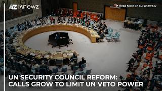 Details UN Security Council Reform: calls grow to limit UN veto power Update