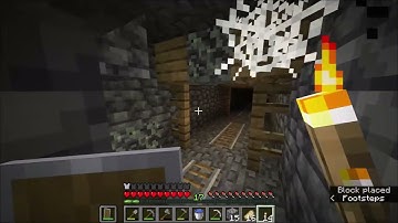 Minecraft: Herobrine Sighting #2 (2022)