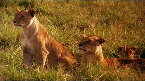 Dove si trova la savana africana?