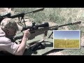 Face Off - Ruger Precision Rifle vs Accuracy International AX